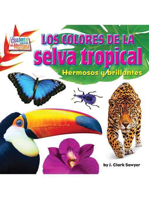 Title details for Los colores de la selva tropical (Rain Forest Colors) by J. Clark Sawyer - Available